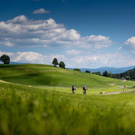 Gartenloft An Der Mur Murau Exteriér fotografie