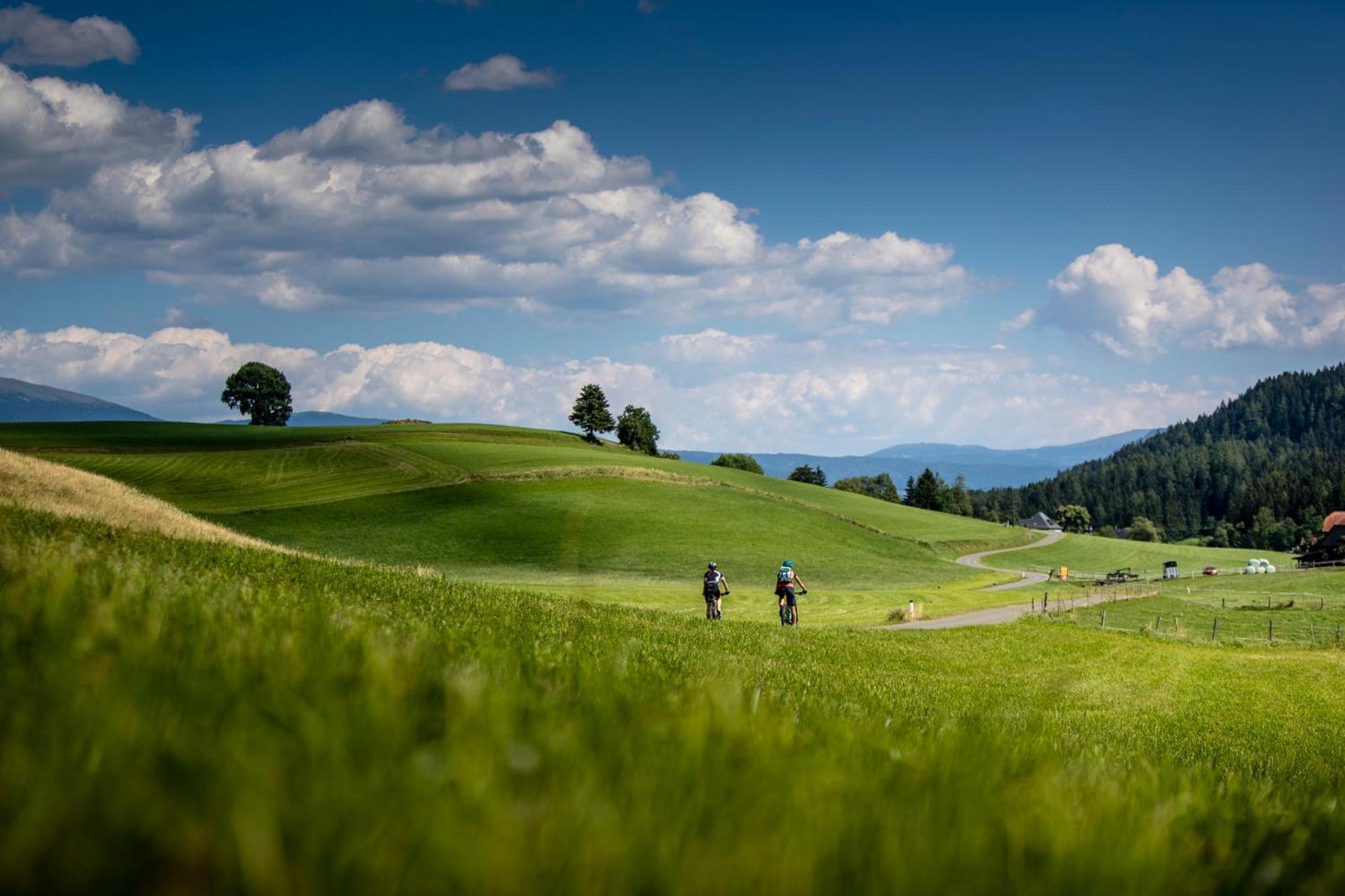 Gartenloft An Der Mur Murau Exteriér fotografie