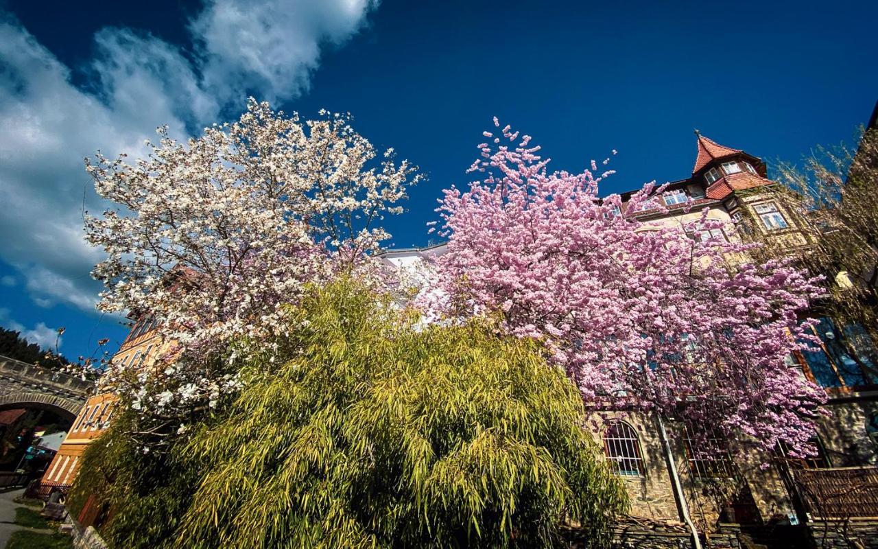 Gartenloft An Der Mur Murau Exteriér fotografie