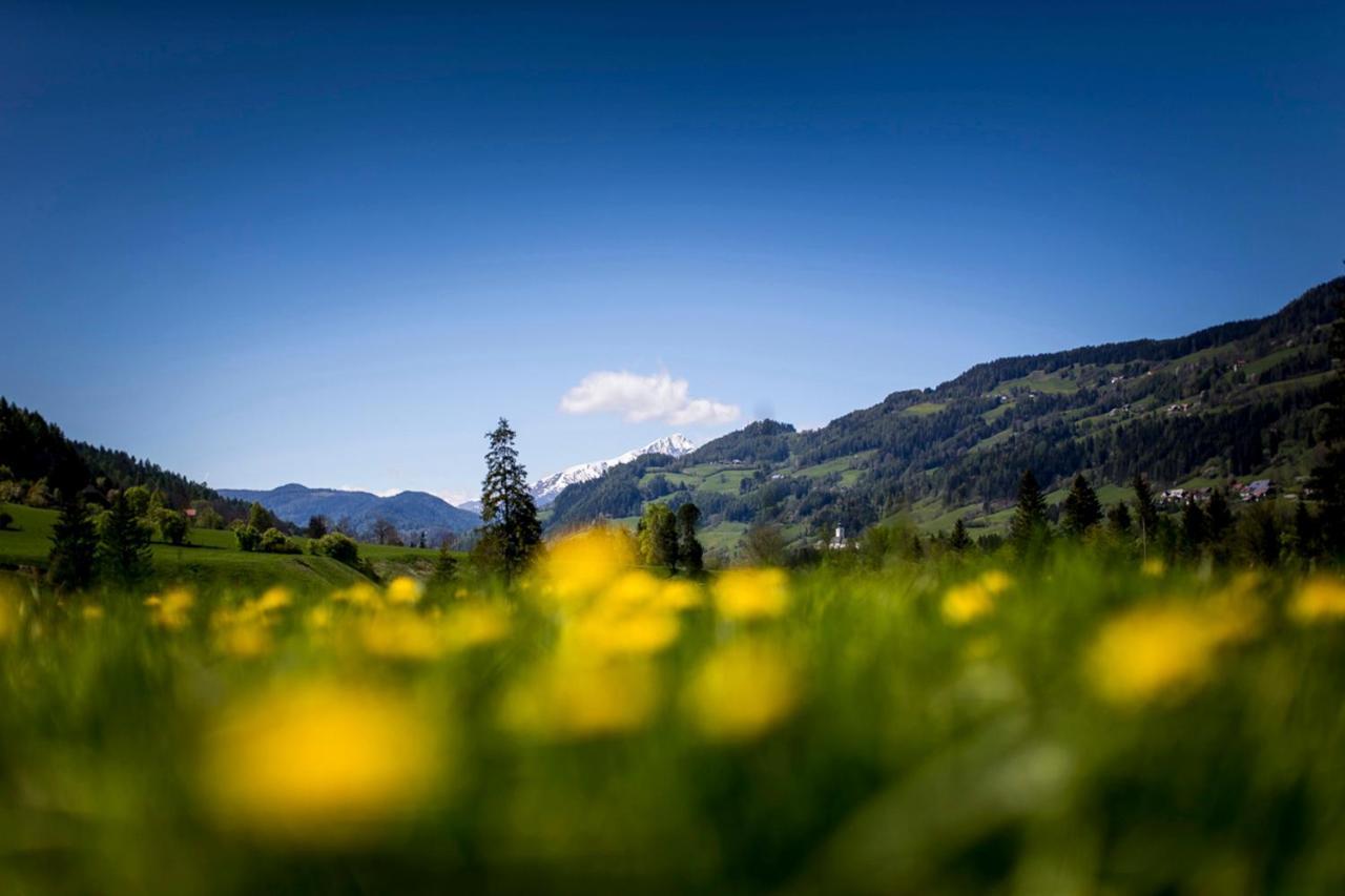 Gartenloft An Der Mur Murau Exteriér fotografie